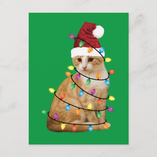 Weihnachtsbaum Weihnachtsfest Weihnachten Weihnach Postkarte (Vorderseite)