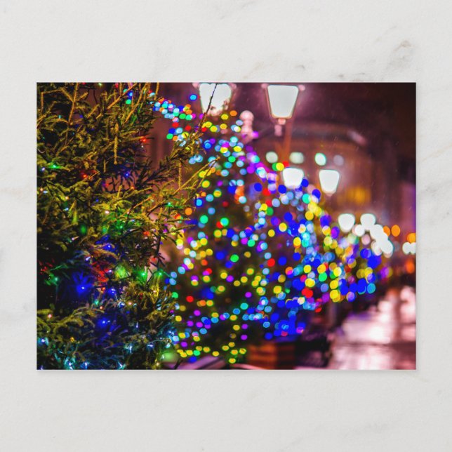 Weihnachtsbäume auf der Straße Postkarte (Vorderseite)