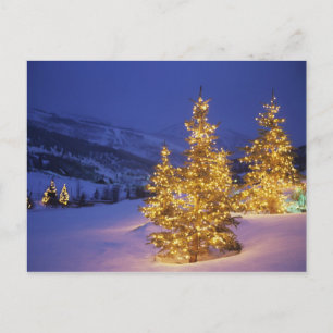 Weihnachtsbäume, Park City, Wastch Berge, Feiertagspostkarte