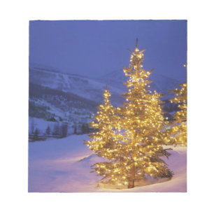 Weihnachtsbäume, Park City, Wastch Berge, Notizblock