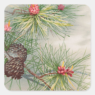 Weihnachtsbaumkiefern und Malereien an der Blume Quadratischer Aufkleber