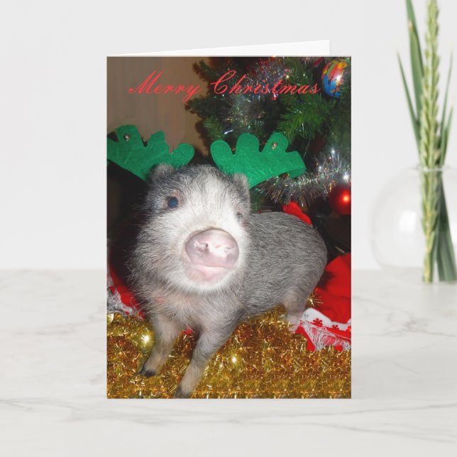 Weihnachtsbaumschwein, Grußkarte Feiertagskarte (Vorderseite)