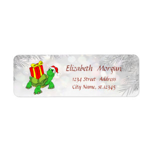 Weihnachtsbaumzweige, Schildkröten, Weihnachtsmann