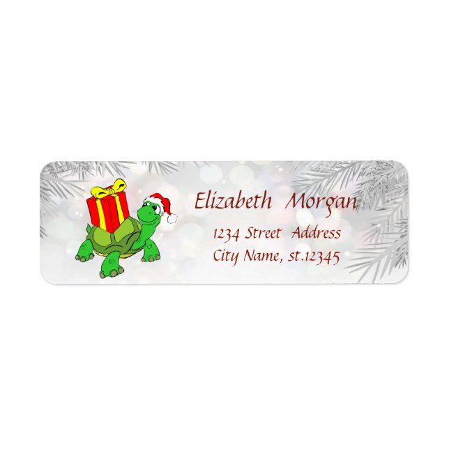 Weihnachtsbaumzweige, Schildkröten, Weihnachtsmann (Vorne)