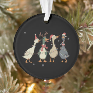 Weihnachtsbeleuchtung Enten Lustige Tiere Bauernho Ornament