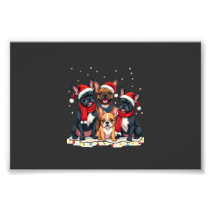 Weihnachtsbeleuchtung Französische Bulldoggen Xmas Fotodruck