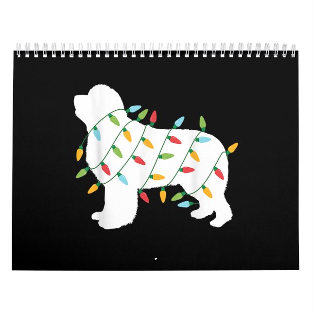 Weihnachtsbeleuchtung - Geschenke für Neufundland  Kalender (Titelbild)