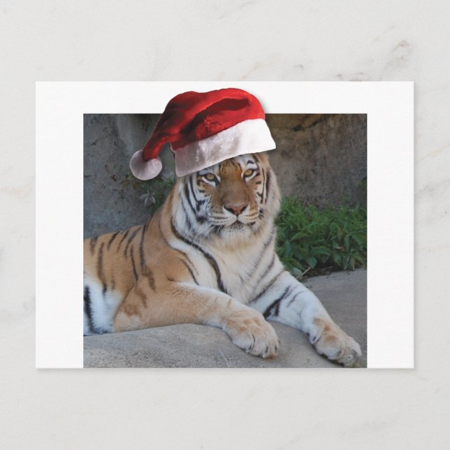 WeihnachtsBengalischer Tiger Feiertagspostkarte (Vorderseite)
