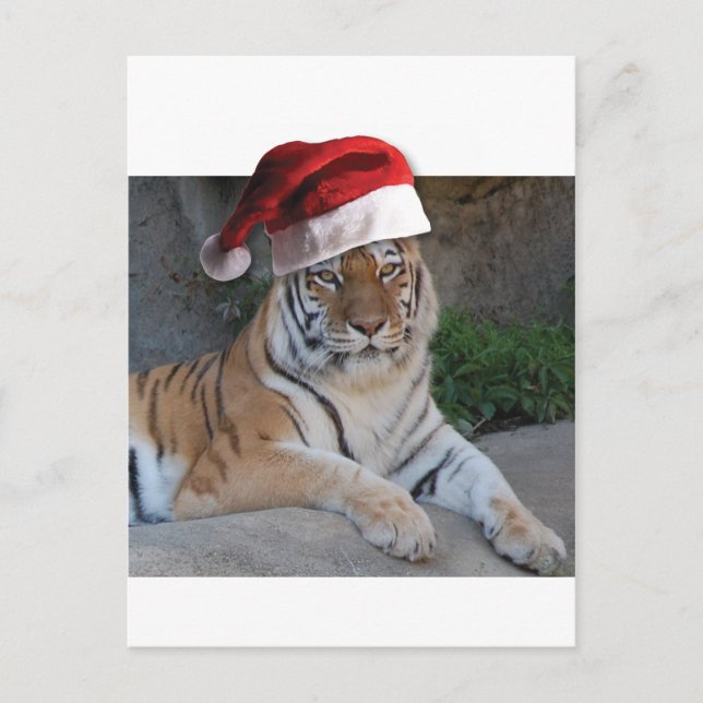 WeihnachtsBengalischer Tiger Feiertagspostkarte (Vorderseite)