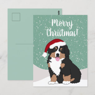 Weihnachtsberger Hund Postkarte
