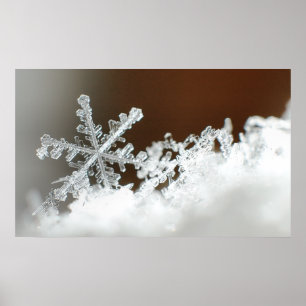 Weihnachtsblizzard 2009 poster