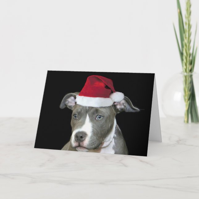Weihnachtsblume Welpengrüßkarte Feiertagskarte (Vorderseite)