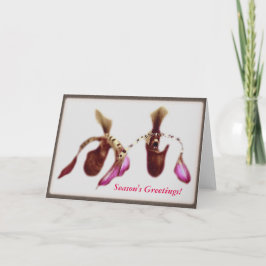 WeihnachtsBlumen-Orchidee Feiertagskarte