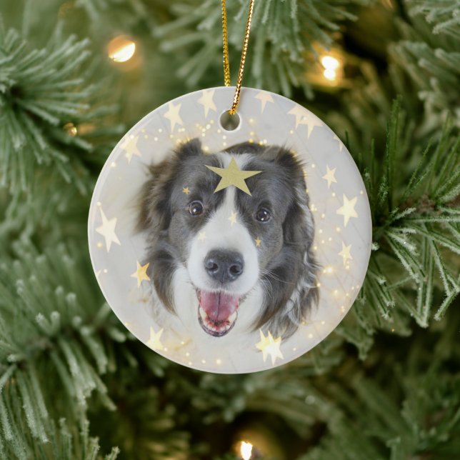 Weihnachtsborder Collie Hund mit Sternen und Licht Keramik Ornament (Baum)