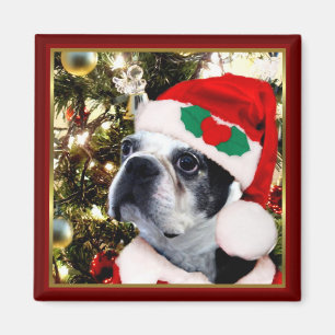 Weihnachtsboston-Terrier Magnet