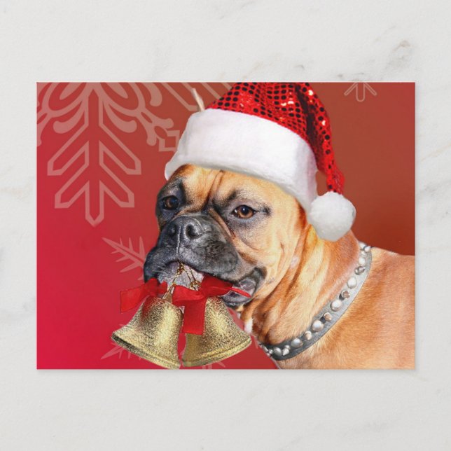 Weihnachtsboxer Feiertagspostkarte (Vorderseite)
