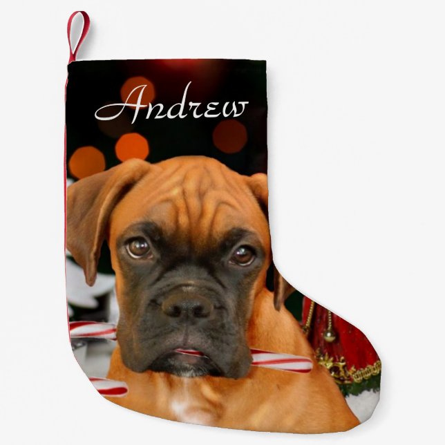 Weihnachtsboxer-HundeStrumpf Kleiner Weihnachtsstrumpf (Vorderseite)