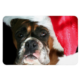 Weihnachtsboxer Magnet