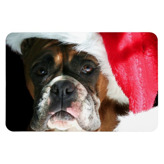 Weihnachtsboxer Magnet (Horizontal)