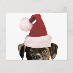 Weihnachtsboxer Postkarte