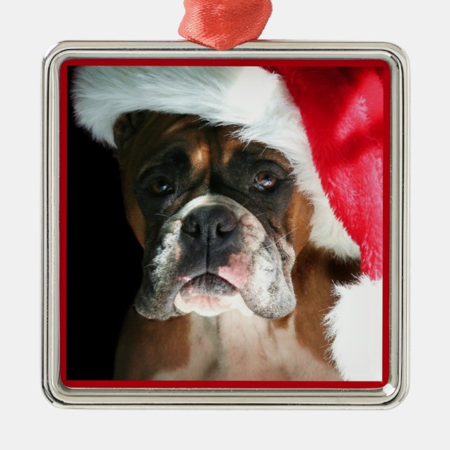 Weihnachtsboxer Silbernes Ornament (Vorne)