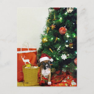 Weihnachtsboxer Welpe Feiertagspostkarte