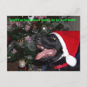 Weihnachtsbriefe Feiertagspostkarte