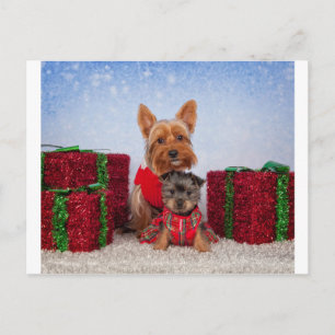 Weihnachtsbuddies Feiertagspostkarte