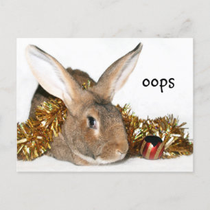 Weihnachtsbunny Boo Feiertagspostkarte