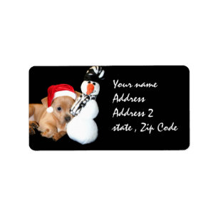 WeihnachtsChihuahua Adressaufkleber