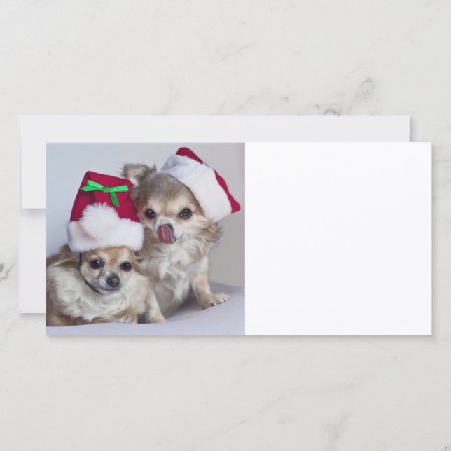 WeihnachtsChihuahua Feiertagskarte (Vorderseite)