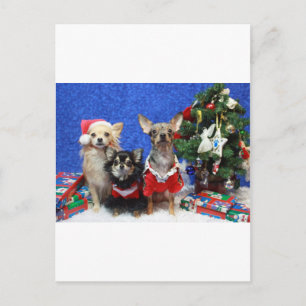WeihnachtsChihuahua Feiertagspostkarte