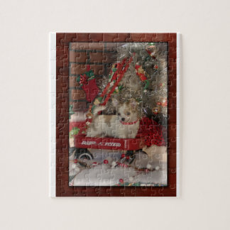 Weihnachtschihuahua-niedlicher Welpe im