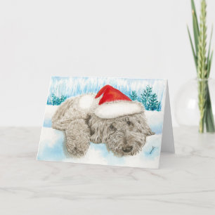 Weihnachtschokolade Labradoodle Feiertagskarte