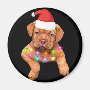 Weihnachtsdekoration für Hundefreunde p Magnet