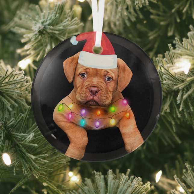 Weihnachtsdekoration für Hundefreunde p Ornament Aus Glas (InSitu)