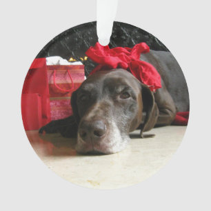 Weihnachtsdeutscher kurzhaariger Zeiger Ornament