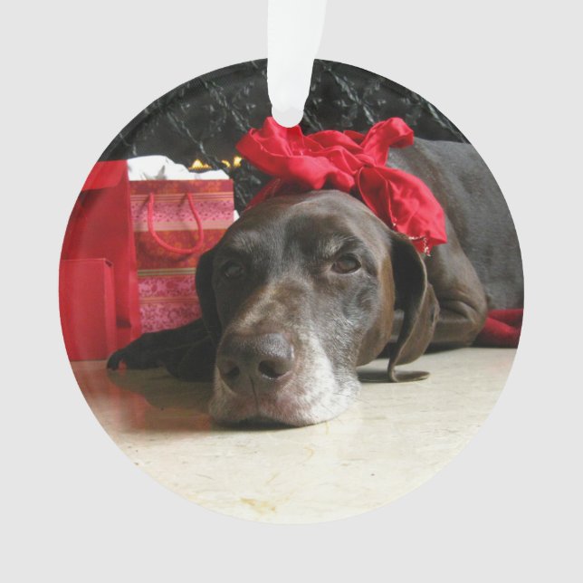 Weihnachtsdeutscher kurzhaariger Zeiger Ornament (Vorderseite)