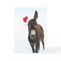 WeihnachtsDonkey