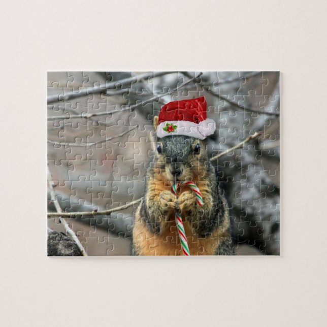 Weihnachtseichhörnchen (Horizontal)