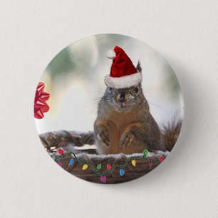 Weihnachtseichhörnchen im Korb mit Schnee Button