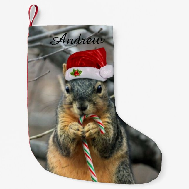 Weihnachtseichhörnchen Kleiner Weihnachtsstrumpf (Vorderseite)