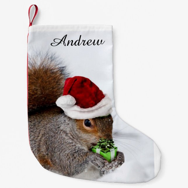 Weihnachtseichhörnchen Kleiner Weihnachtsstrumpf (Vorderseite)