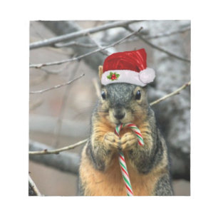 Weihnachtseichhörnchen Notizblock