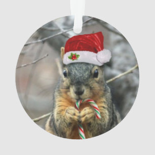 Weihnachtseichhörnchen Ornament