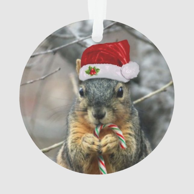Weihnachtseichhörnchen Ornament (Rückseite)