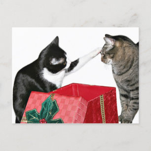Weihnachtseiferin Feiertagspostkarte