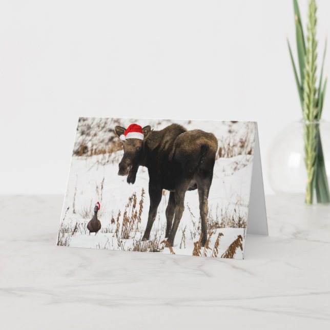 Weihnachtselche mit Entenfeiertagskarte Feiertagskarte (Vorderseite)