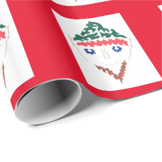 Weihnachtself-Packpapier Geschenkpapier