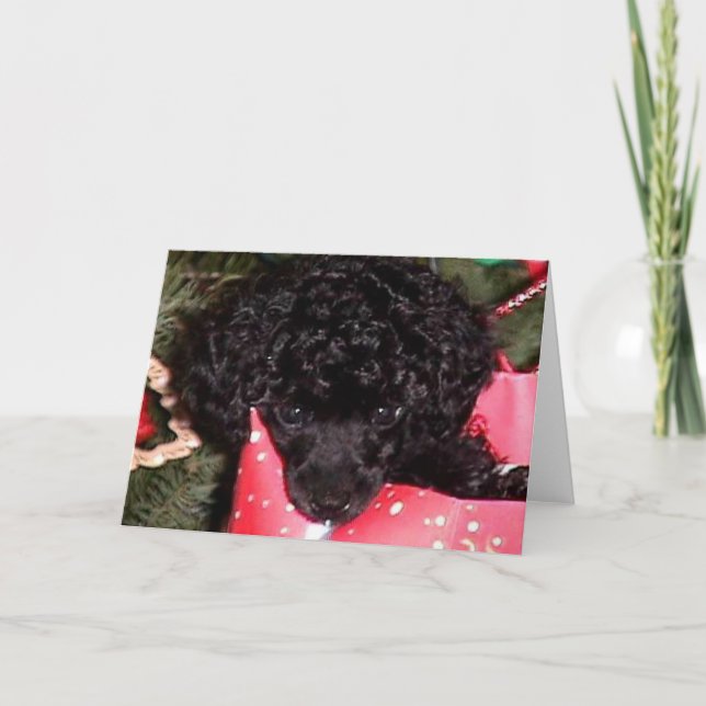 Weihnachtsengel Feiertagskarte (Vorderseite)